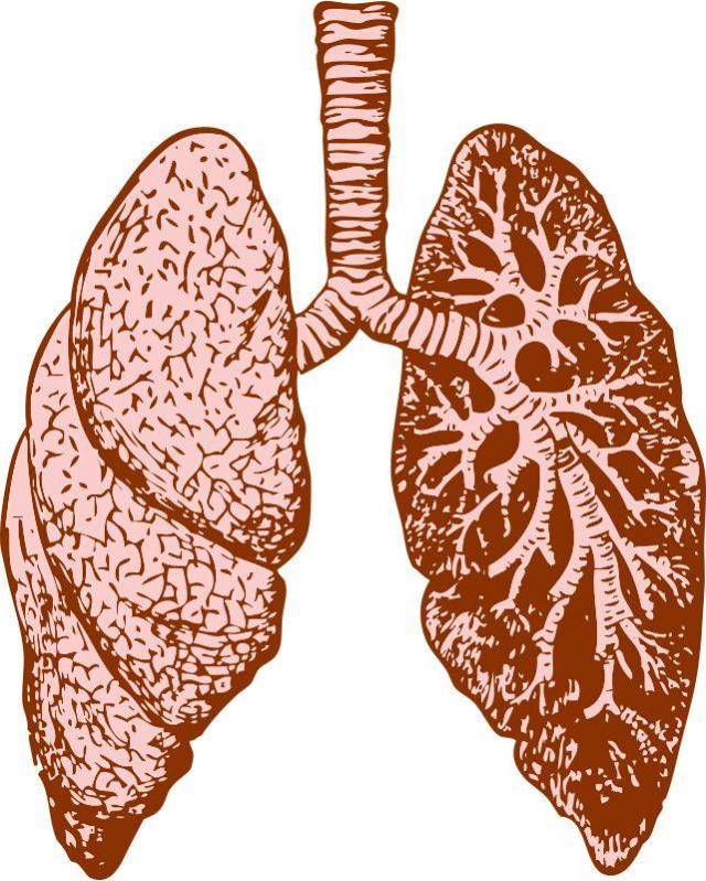 肺癌的症状有很多,要多多注意了