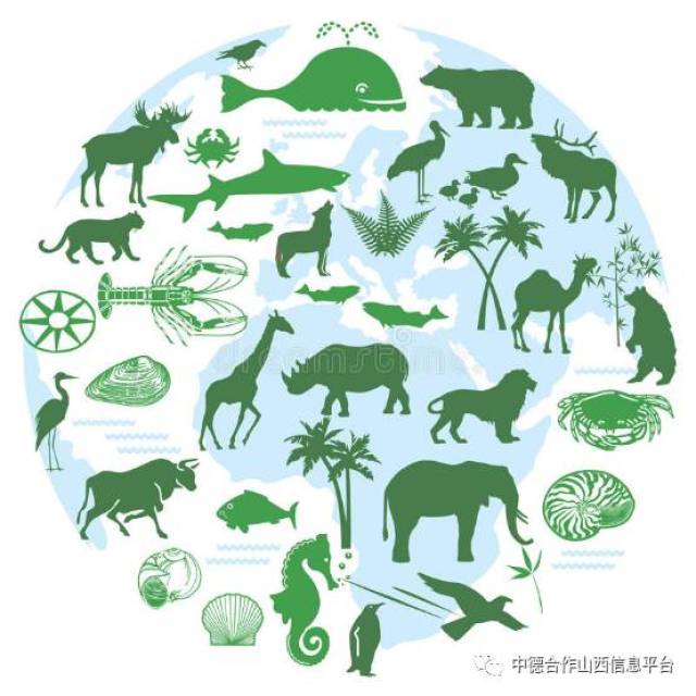 【学员资讯】德国的生物多样性保护