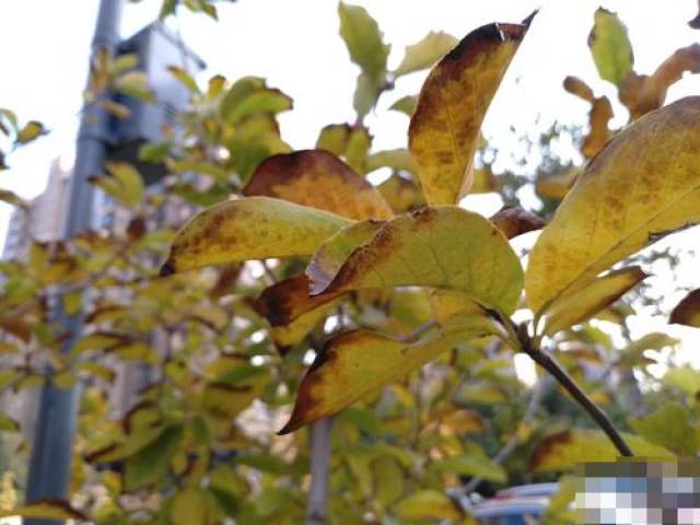 诺基亚7上手之后怎么样？诺基亚7上手评测