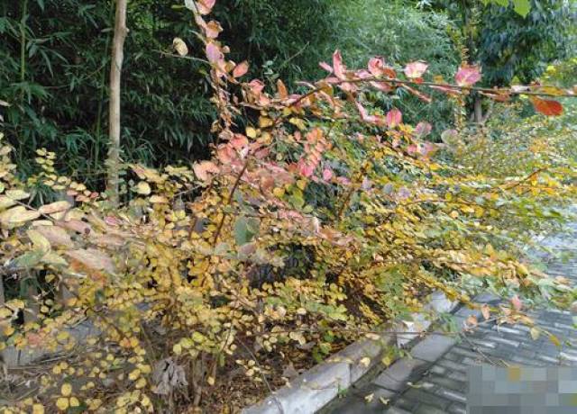 诺基亚7上手之后怎么样?诺基亚7上手评测