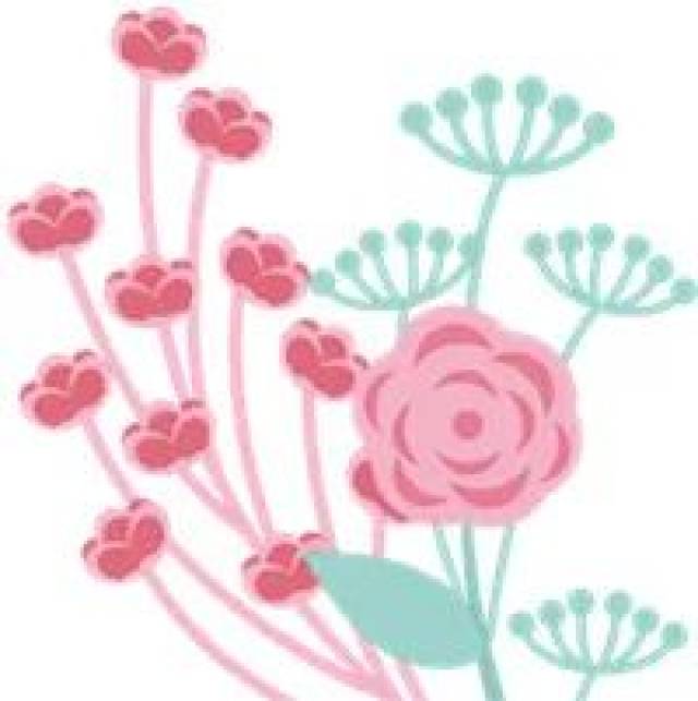 【科教新报】英语课,为什么上得如此国际范?