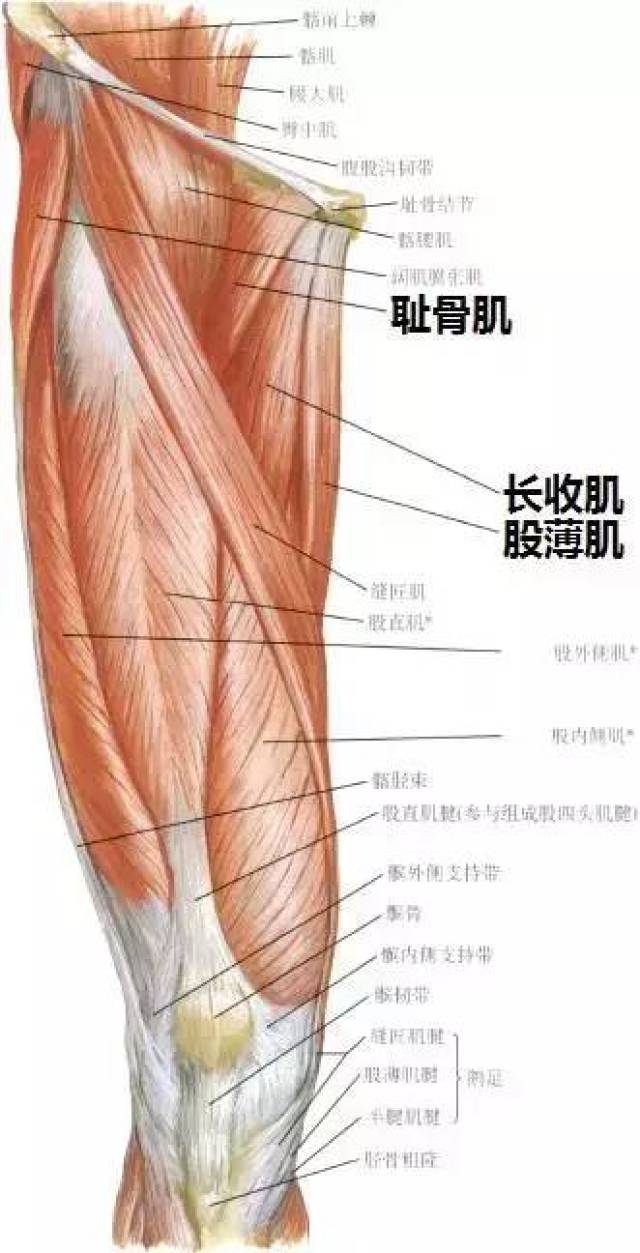 10a50e31e5d7498d874dfe111a9c5f19.jpeg