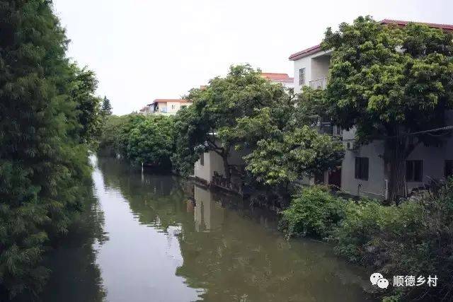 逢沙:村在水中走,人在河上游