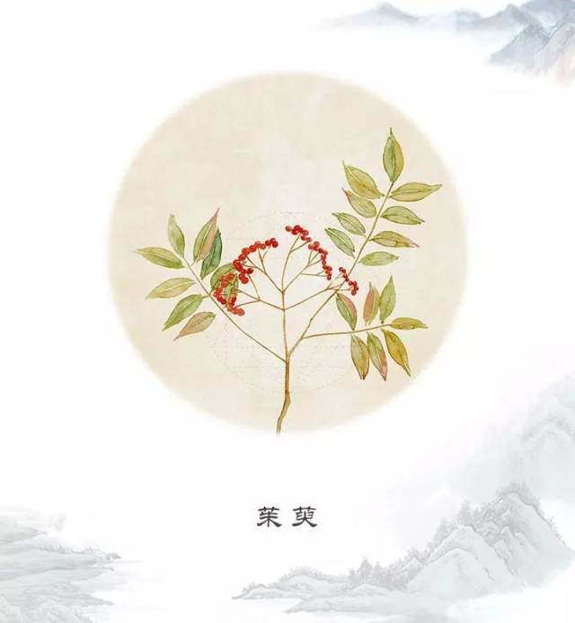 酒俗| 登高,茱萸,菊花酒,重阳节的吉祥三宝是怎么来的?