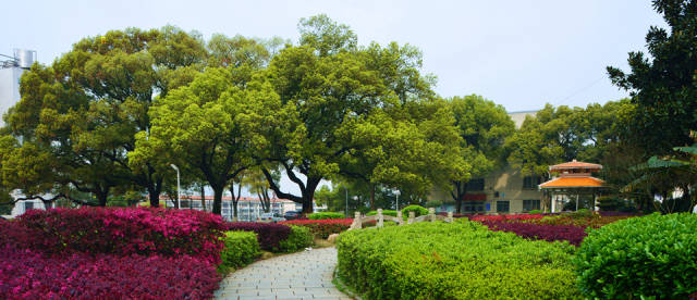 【科教新报】英语课,为什么上得如此国际范?