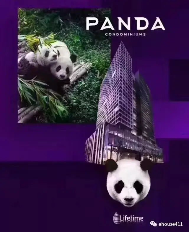 2017多伦多万众瞩目的panda condo熊猫公寓开始分盘_手机搜狐网