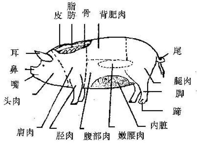 『微知识』图例教学,彩图分享,猪肉分割知多少?