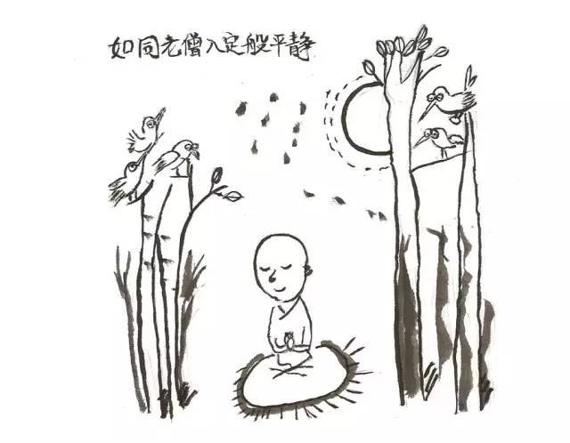 机缘下喝了花精,20分钟后清楚地感到不用打坐,却如同老僧入定般的平静