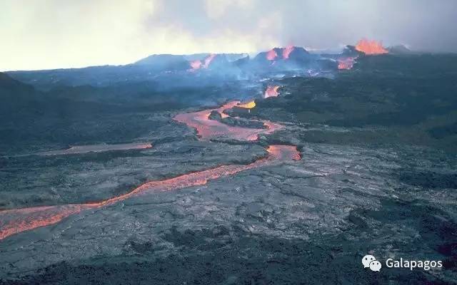 瓦努阿图的安布里姆岛,刚果金的尼拉贡戈火山,南极洲的埃里伯斯火山和