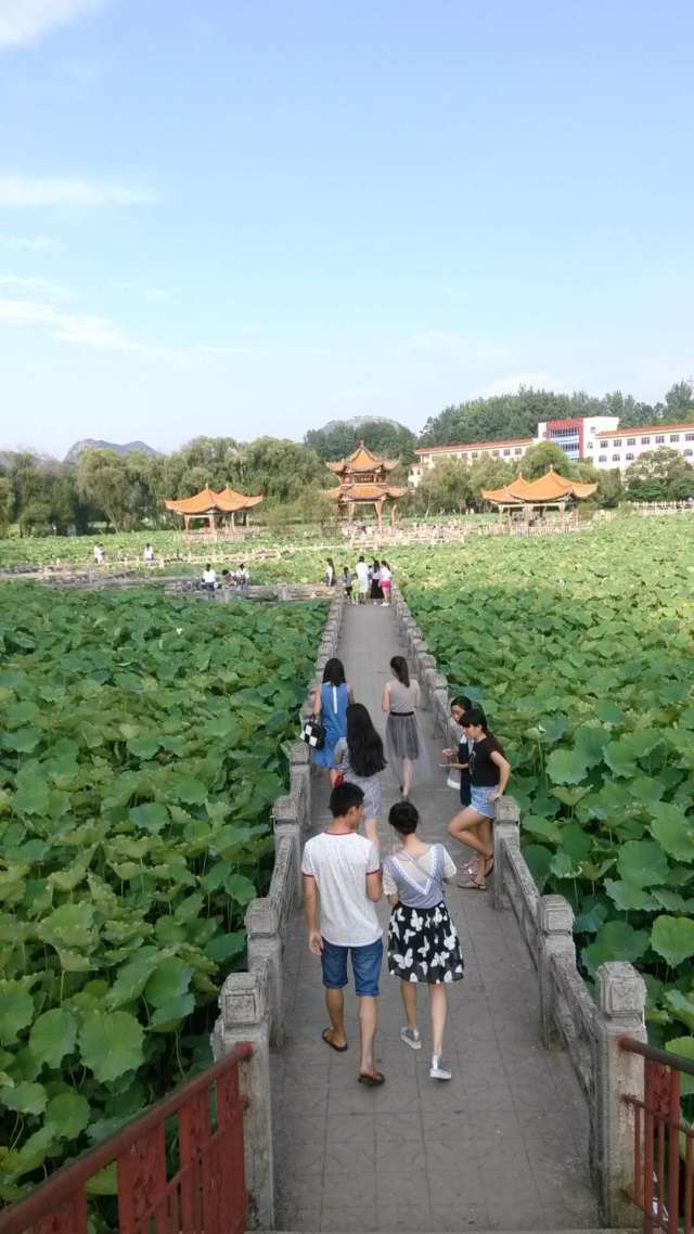 安龙荷花池《招堤》位于安龙县城东北,始建于康熙三十三年(公元1694年