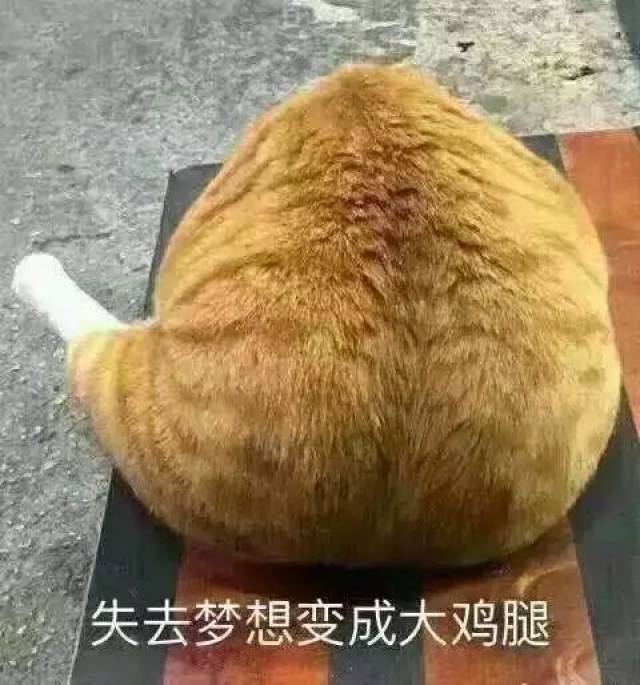 83800d90f7b24d29a6a1fc1d9108e4ba.jpeg
