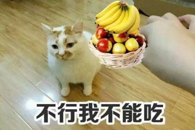 作死挑战:传说中的香蕉配枣一口就倒,实在太毒