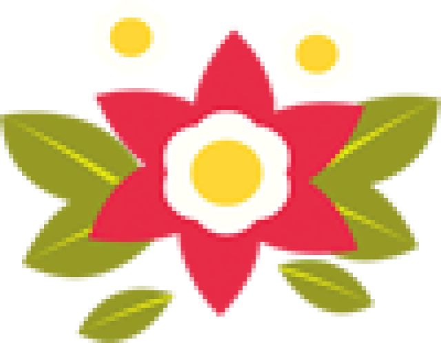 【科教新报】英语课,为什么上得如此国际范?