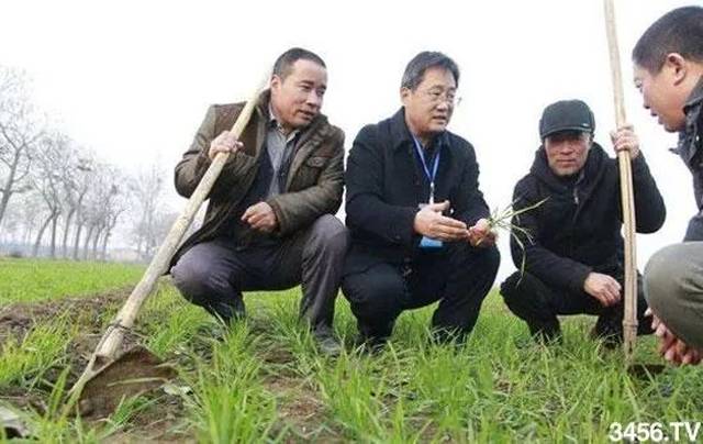 真的只能人工拔出吗？大错特错，每年这样打最合适？