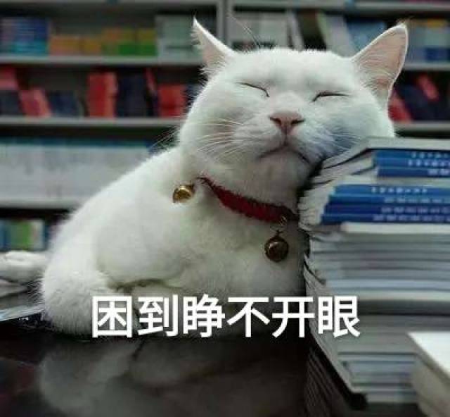 杭州女白领患上"怪病,每天只想辞职在家睡觉!网友:这病我也有