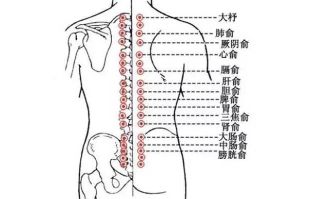 经络养生法 刺激背部经络,调和气血!