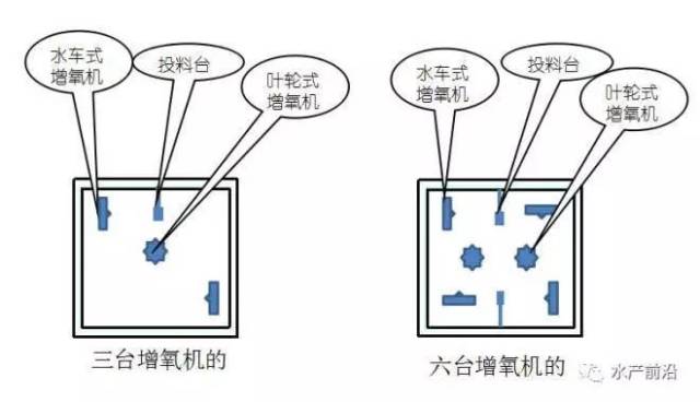 亩产10000多斤鱼虾塘,竟是这样安装增氧机和投料机的!