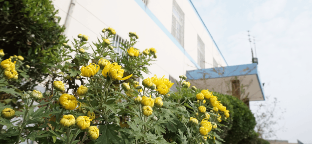 20年的创业历程,他的“慧通”改变了很多人的生活