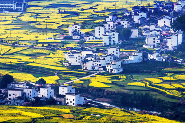 我国独具特色的美丽乡村旅行中,哪些风景最值得观赏呢