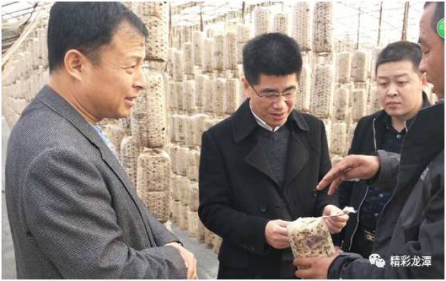 【新闻】龙潭区委副书记方培雷调研江密峰镇农村党建工作