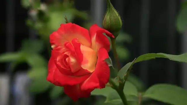 959bd661ad4640b49bdf5272db535b56.jpeg