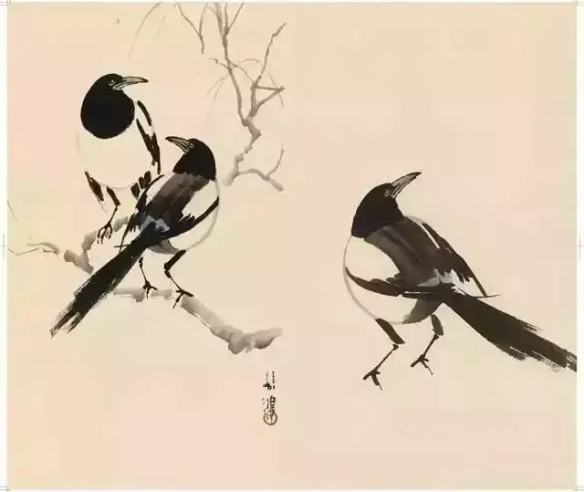 【画八哥】