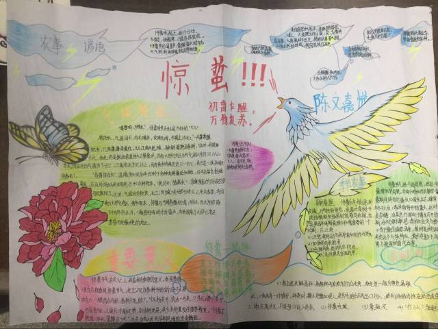 活动以生物小报类的形式,要求4开素描纸,颜色不限.