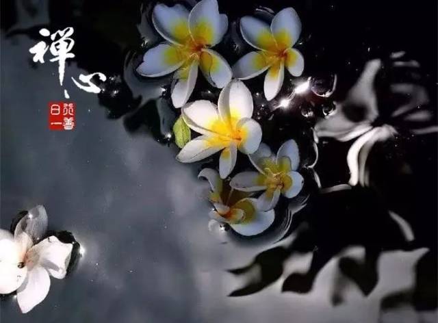 天籁佛音《等你到下一个轮回》