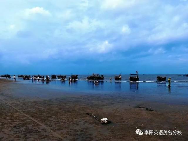 茂名各县区人口排名:第5是茂南区,第1是?