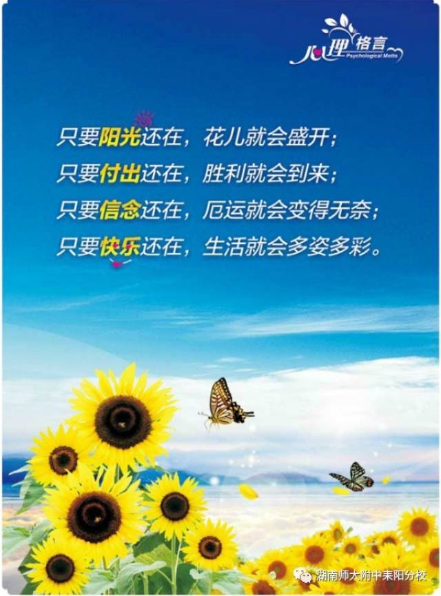 【教师风采】心灵相约 健康同行 ——我校心理健康教育及辅导专职教师