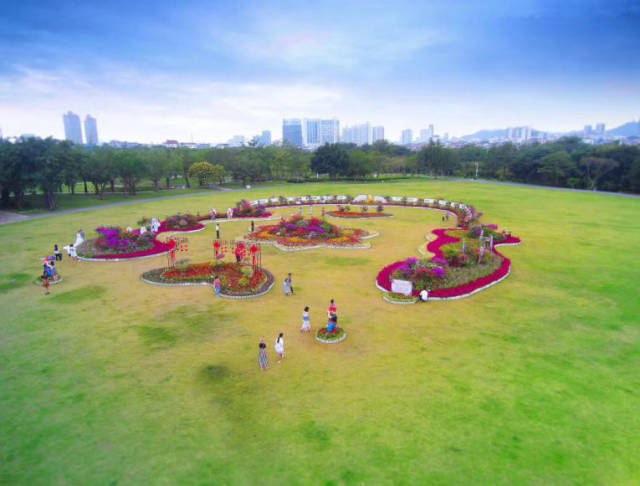 百色半岛公园美景,艳动百色城