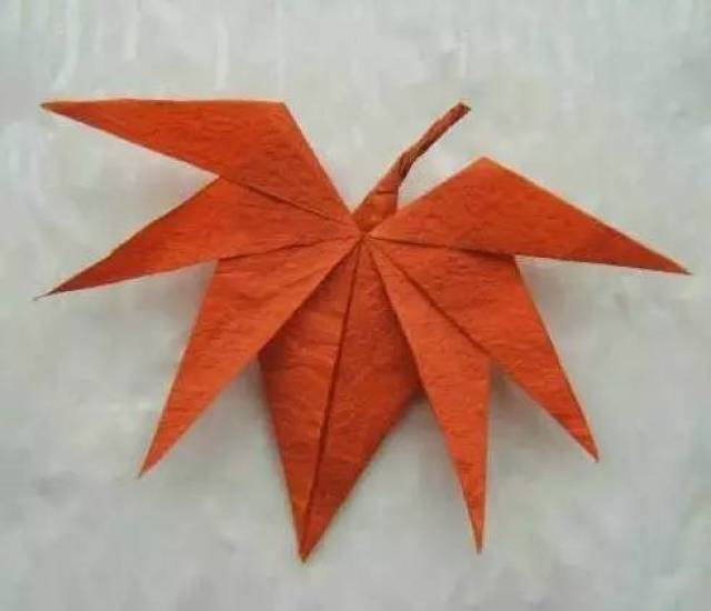 秋季折纸大全篇——《枫叶》