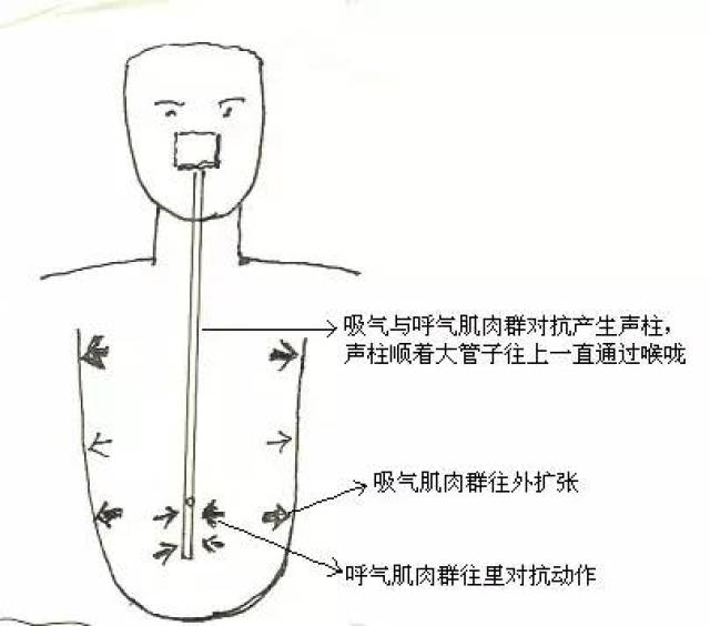 【唱歌技巧和发声方法】独家分享歌唱发声自我训练速成法!