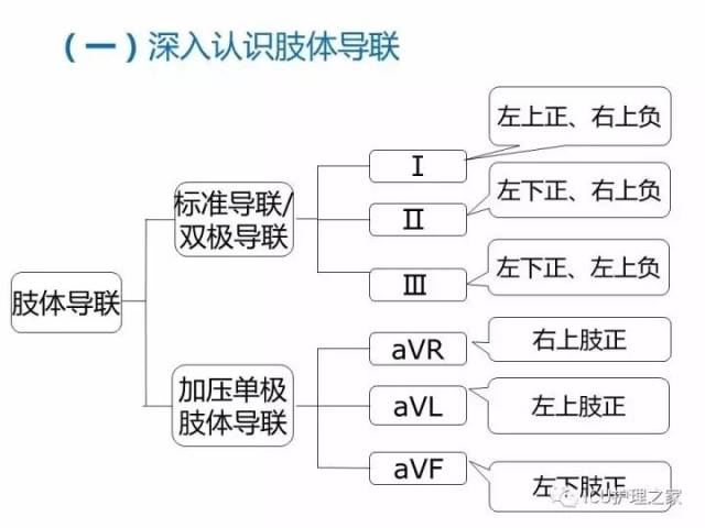 心电图机的操作,12导联,18导联链接详解!