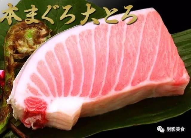 蓝鳍金枪鱼大腹寿司