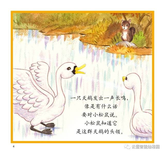 【绘本分享】远去的白天鹅