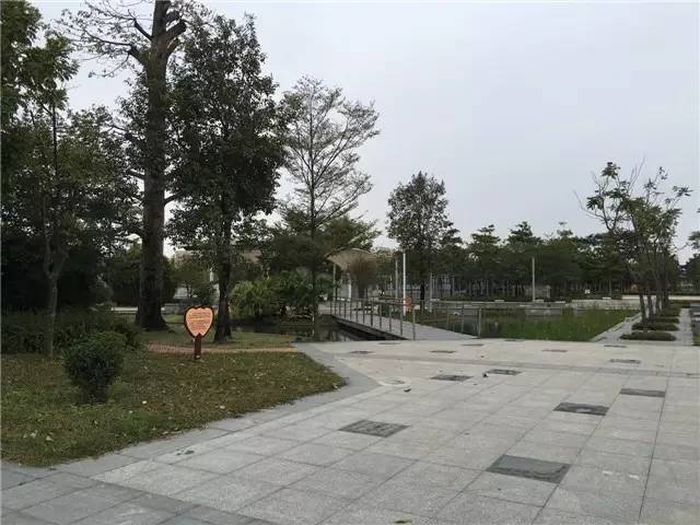 ▼ 石湾龙舟公园 在石湾,有一座图书馆,现代化气息十足,傲视惠州▼