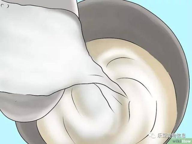 狗吃了巧克力怎么办?三种方法教你治疗吃了巧