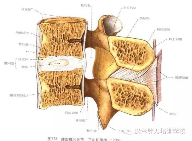 另外一种方法是最为安全的.当麻醉针穿过棘上韧带后,停菇进针.