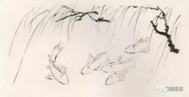 五色鲤鱼的画法教程，画鱼的构图技法详解!