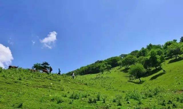 【高校户外】11月4日 华阳高山草甸登高赏秋,远眺华山群峰
