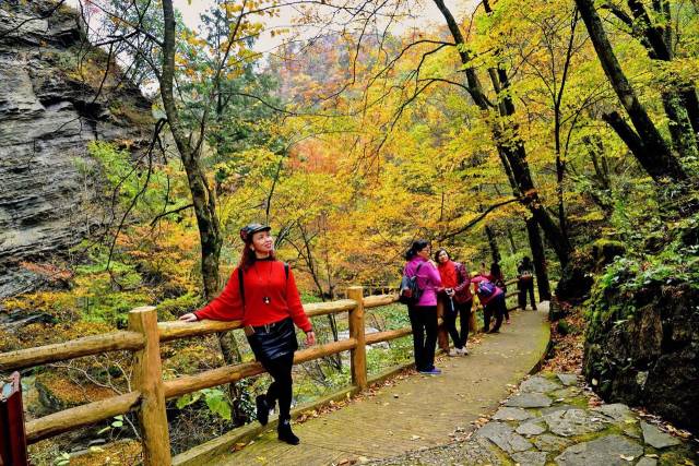 距离汉中不远处,这个地方的红叶够你看一个秋天-旅游频道-手机搜狐