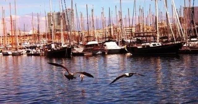 加泰罗尼亚宣布独立!曾经的西班牙最大港口