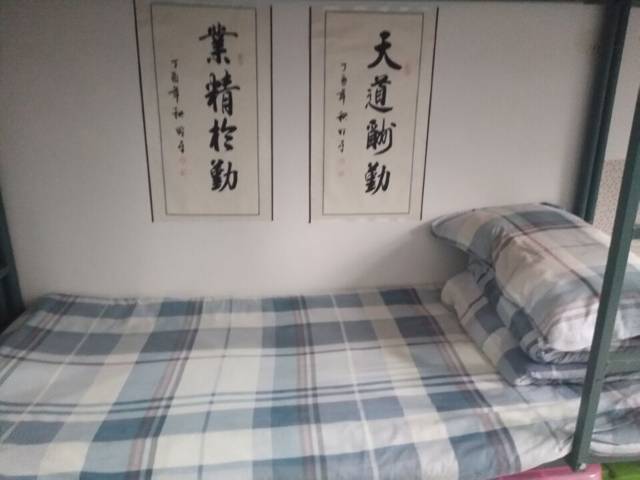 bf2d725bf2ca4780ae77ccbd59a86d47.jpeg