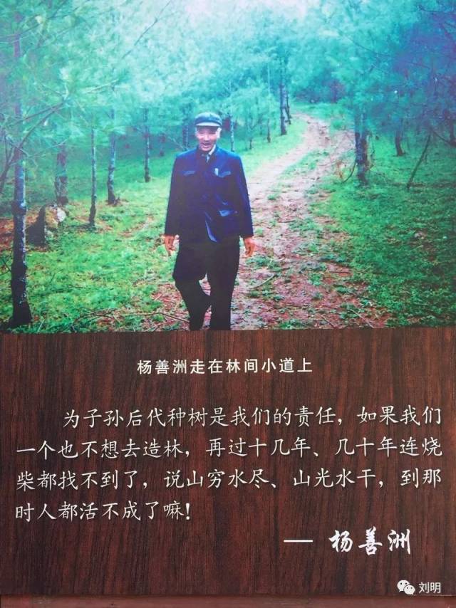 1950年,23岁的杨善洲就参加工作了,后来在地委书记岗位上退休.