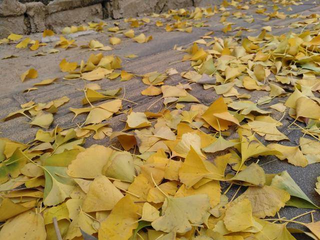 诺基亚7深度体验报告:蔡司镜头依旧完美 外形设计用心良苦