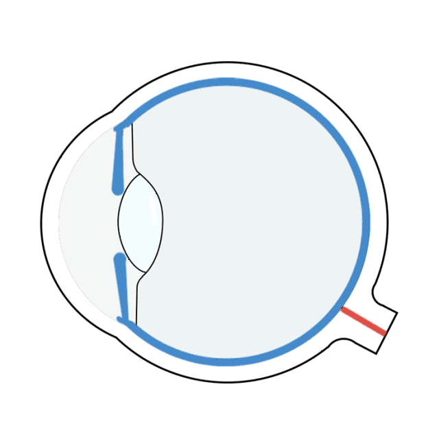 设计 矢量 矢量图 素材 640_640 gif 动态图 动图