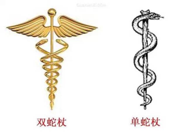 为什么用蛇杖做医学的标志?(解读蛇之寓意)