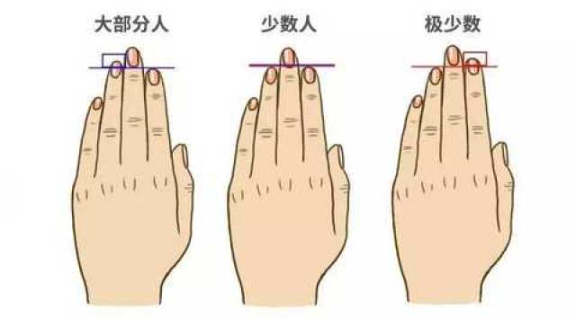 手指的长短和运势有着什么样的关系?