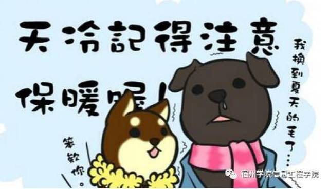 天冷了|信工来暖心